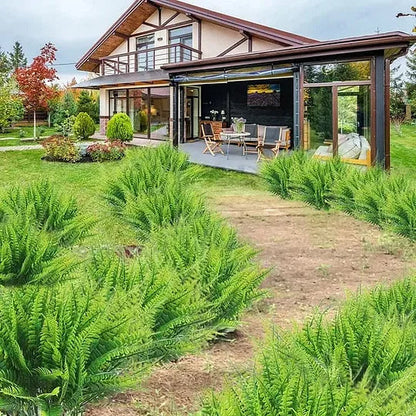 🔥 $9.9 On Sale Last Day 🌱 UV-Resistant Realistic Artificial Boston Fern