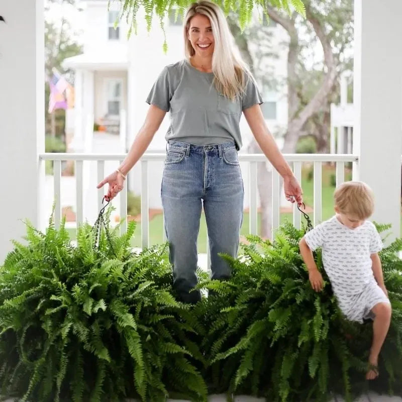 🔥 $9.9 On Sale Last Day 🌱 UV-Resistant Realistic Artificial Boston Fern