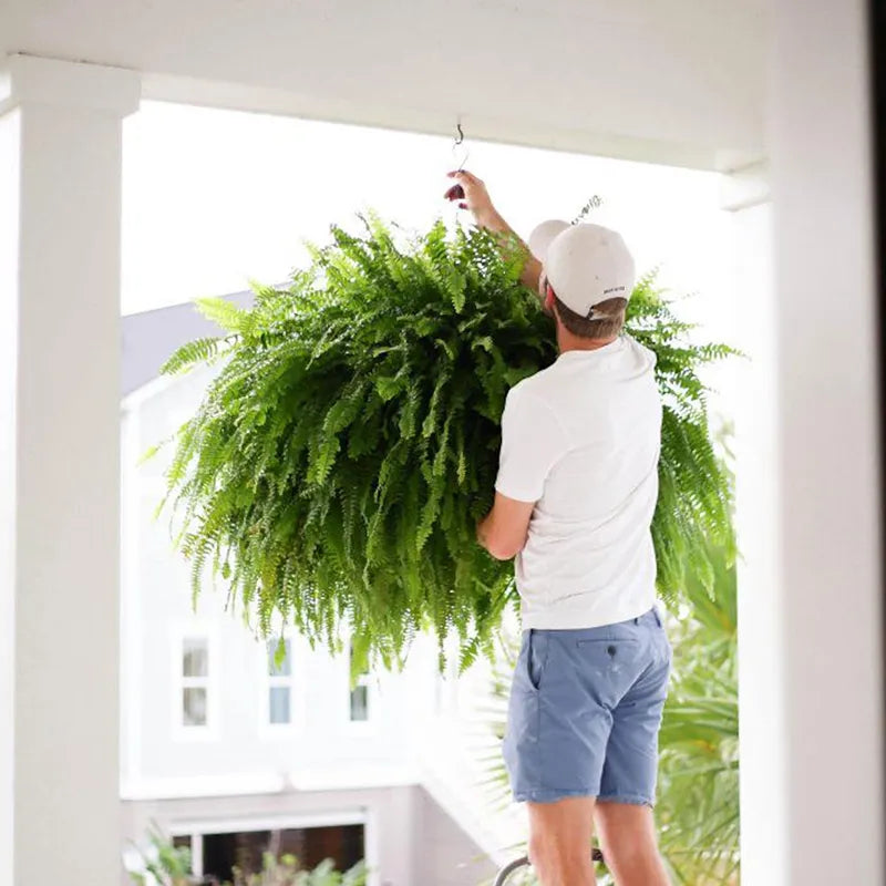 🔥 $9.9 On Sale Last Day 🌱 UV-Resistant Realistic Artificial Boston Fern